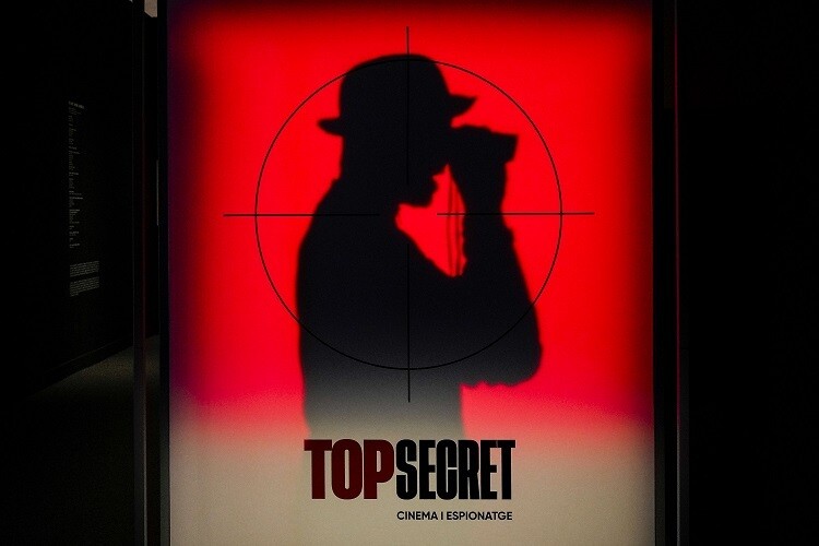 Youth Arrested for Cyberattack on French Ministry of Interior