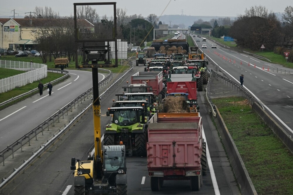 French Farmers Protest Livestock Disease Measures