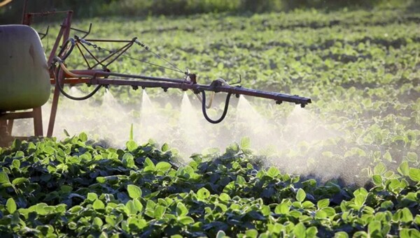 France Suspends Imports of South American Fruits Over Pesticides