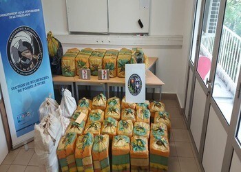 Рекордные изъятия кокаина на Французской Карибах вызывают опасения