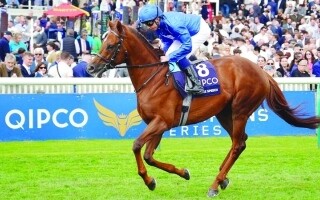 Глобальная команда Godolphin участвует в гонках на Лоншамп