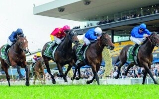 Команда Godolphin участвует в гонках на Сен-Клу