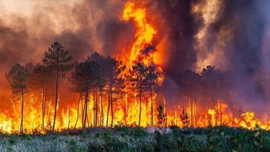 Более 3,000 туристов эвакуированы из-за лесных пожаров во Франции