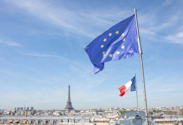 French Mayors Remove EU Symbols from Town Halls